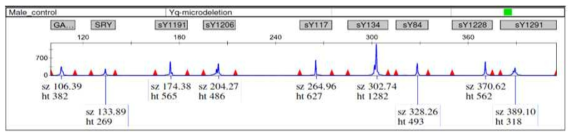 Capillary gel electrophoresis 방법을 이용한 Y염색체 장완 STR markers에 대한 다중 중합효소 연쇄반응 산물 분석