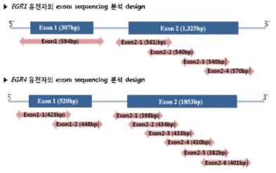 Exom sequencing 분석 design