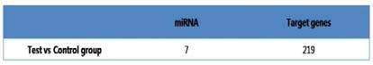 miRNA target genes