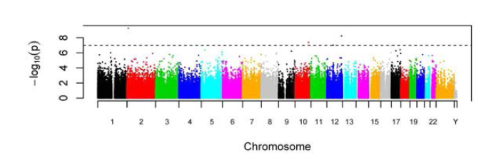Manhattan plots 분석을 통한 제대혈로부터 얻어진 DNA의 조산관련과 유의한 CpG methylation의 염색체 위치(Parets SE 등, 2013: PLoS ONE 8(6): e67489)
