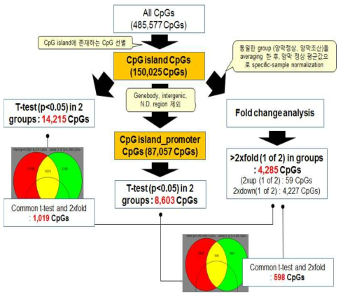 정상 및 조산의 양막에서 비교 분석한 CpG site