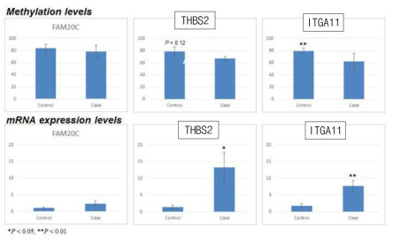 정상 및 조산 양막의 FAM20C, THBS2, ITGA11에서 메틸화 수준과 발현량 비교