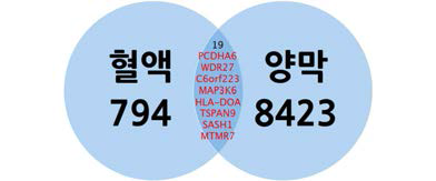 산모 혈액과 양막에서 공통 저메틸화 유전자