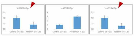 조산에서 감소된 후보 miRNA의 validation