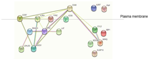 조산 산모 혈액에서 증가되어 있는 T cell activation과 관여하는 유전자의 경로