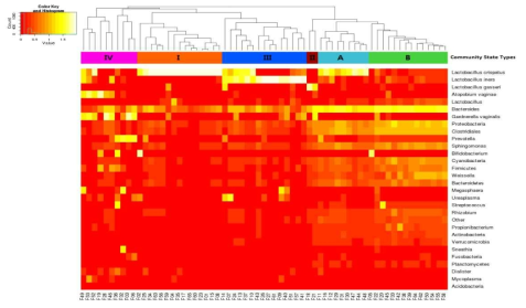 산모의 질분비물에서 검출된 microbiome의 heatmap