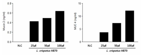 질내 젖산균 L. crispatus AB70 균주 배양 상등액에 의한 질상피세포의 mucin 생산 활성