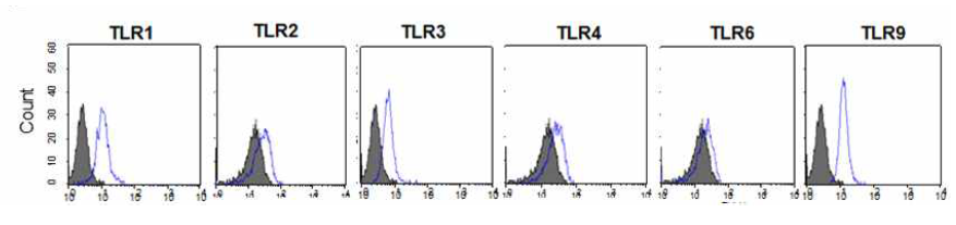 자궁경부 상피세포의 Nod1와 Nod2(A), TLRs(B)의 발현