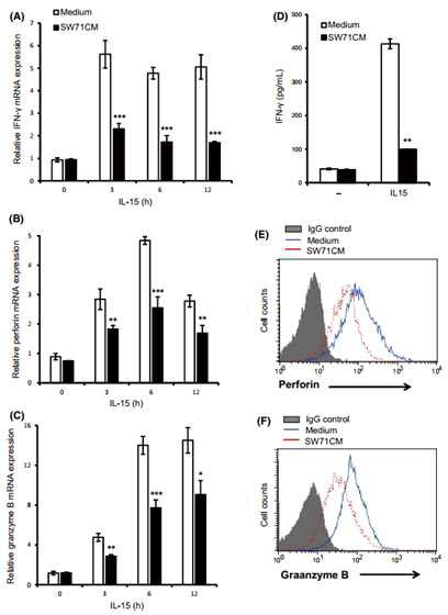 영영막세포 CM은 NK cell의 IFN-γ, Perforin, Granzyme 생산 억제