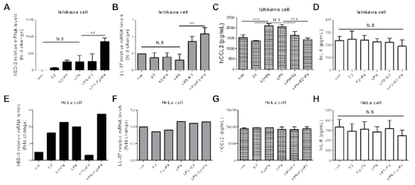 자궁내막상피세포와 경부상피세포에서 호르몬과 LPS에 의한 항균물질발현과 염증성 키모카인 생성 확인. HBD3, beta-defensin; LL-37, cathelicidin;CCL-2, monocyte chemoattractant protein 1 (MCP1)
