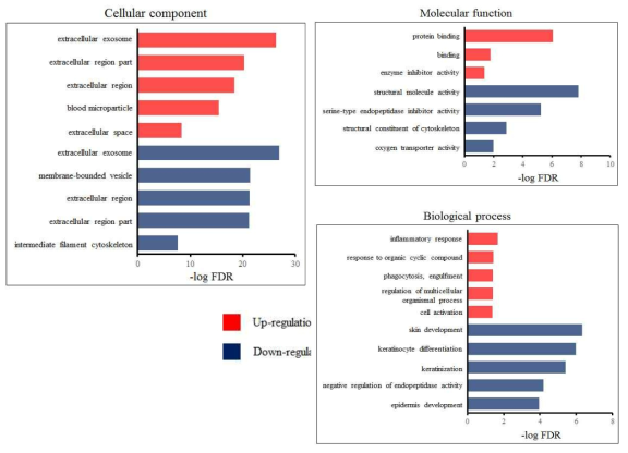 질 세척액에서 up-/down-regulation 된 단백질들의 생물학적 기능 분류
