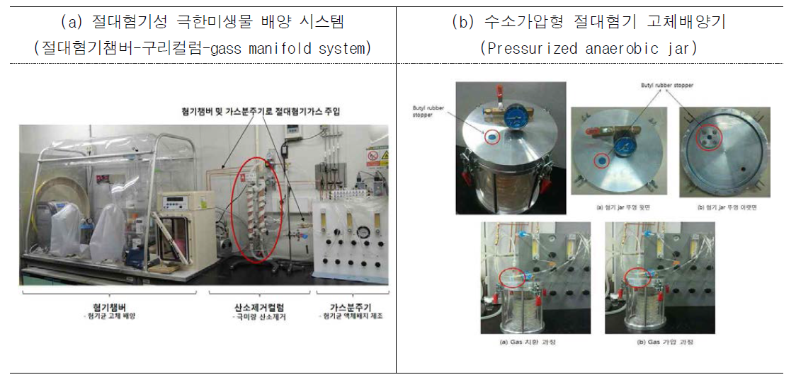 다양한 질내 미생물 분리를 위해 본 연구개발과제에 사용된 절대혐기 배양 시스템