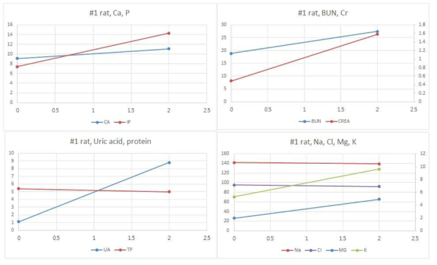 5차 rat in vivo 실험에서 혈액검사 소견. Purified ICP solution을 복강내 저류 및 1ml/min로 흐름을 주었을 때 2시간 만에 사망한 #1 rat 혈액 수치 변화