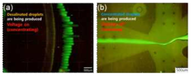 채널 폭과 높이가 각각 1cm와 15um인 droplet ICP preconcentrator 작동 사진 (a) 농축 단계 (b) 방출 단계