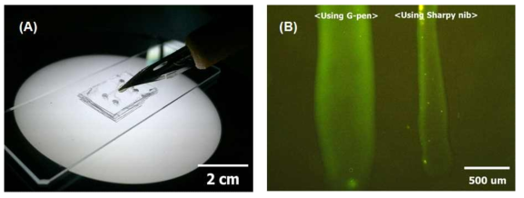(A) 펜촉을 이용한 nafion 나노채널 패터닝 방법 및 (B) 서로 다른 굵기의 펜촉으로 패터닝된 다른 두께의 나노채널