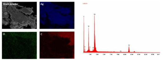 EDAX 장비로 검은색 물질을 분석한 결과 Ag와 C가 주 성분임을 밝힘