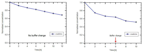 Buffer 용액의 교체 없이 진행된 실험(좌)과 실험 6시간 후 교체한 실험(우)