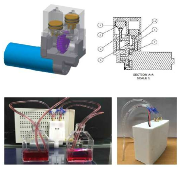 투석액 펌프 모듈 (a) 설계 단면도 및 3차원 모델 (b) 제작된 시제품 작동 테스트
