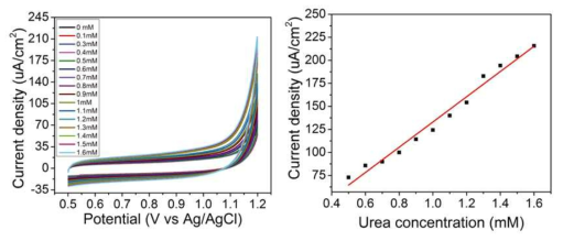 제작된 Ur/SF/aminated GCE 바이오전극을 이용한 요독검출. 민감도 = 107μA/mM·cm2