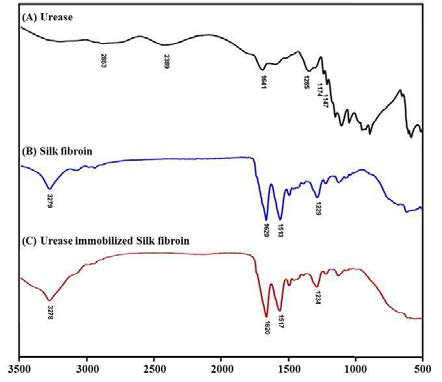 우레아제, 실크피브로인, 우레아제가 고정화된 실크피브로인에 대한 FT-IR 스펙트럼 측정 결과