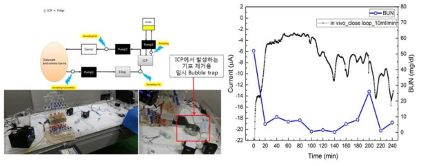 in vivo 실험시 사용된 통합시스템(좌측)과 시간변화에 따른 정화된 투석액의 유레아 농도 변화