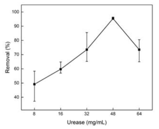 처리 농도 별 우레아제의 고정화 후 활성도