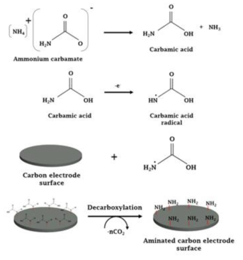 탄소전극의 아민화과정