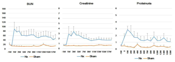 15/16 신절제 비글견의 혈중 BUN, Creatinine, 단백뇨의 변화