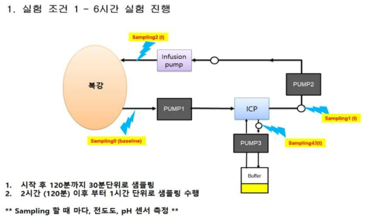 4차년도 1차 in vivo 실험의 모식도