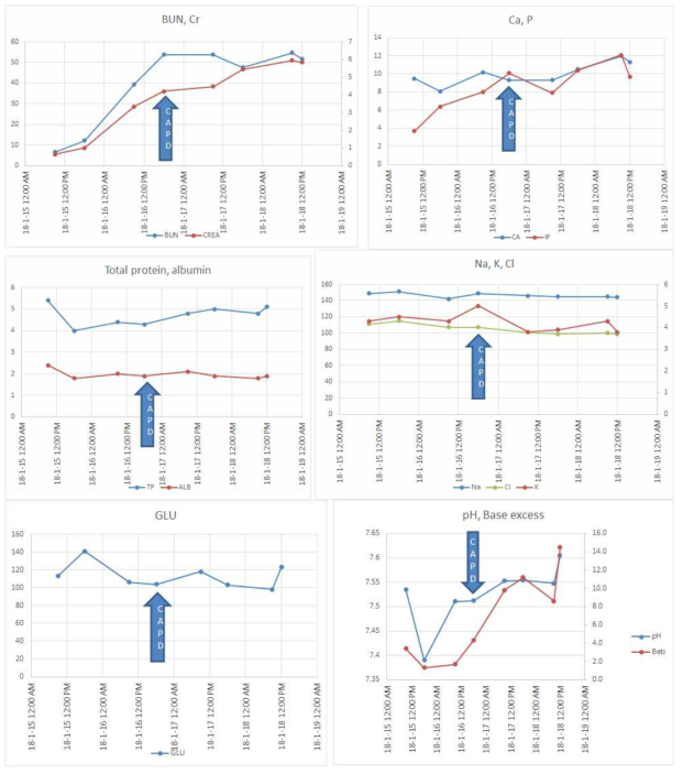 양측 신장 절제수술 및 복막관 재위치 수술을 한 Female 비글견에게 복막투석을 진행한 후 혈액 수치의 변화. 투석을 진행한 시점부터 추가적인 요독 수치 악화 없이 안정화되는 것을 관찰 할 수 있음