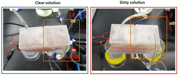1차 in vitro 실험 45분 경과 후 ICP장비의 변화. Dirty solution의 경우 Purified line 에서의 gelation 된 거품 막이 형성되는 결과를 보임