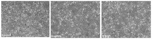 Graphite 전극과 연필탄소전극의 세포독성 비교. L929 세포에 indirect method로 연필탄소전극의 독성을 평가함. Graphite와 연필탄소전극 모두 control과 비교하여 세포 viability가 떨어지지 않음을 확인함