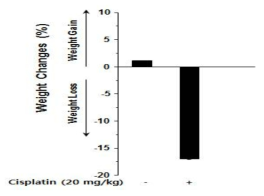 Effect of cisplatin on mouse weight change