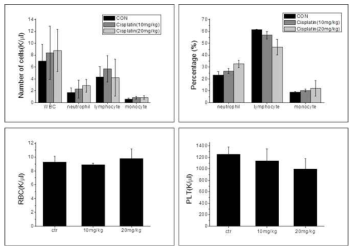 위 그림은 시스플라틴 10 mg/kg, 20 mg/kg을 복강내로 투여한 후 3일 후에 혈액을 얻어 WBC, neutrophil, lymphocyte, monocyte, platelet, RBC를 측정한 결과임. 위 그림에서 나타났듯 이 3일 후에 대조군에 비하여 유의한 차이를 나타내지 않았음