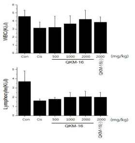 위 그림에서 나타났듯이 QKM-16은 시스플라틴에 의해 감소되는 WBC의 양을 농도 의존적으로 방어하였으며 QKM-16(-) 또한 WBC의 감소를 억제하였으며 이러한 결과는 lymphocyte에도 같은 결과를 나타냈음. 한의학 이론에 의하여 君약을 제거한 한약재는 그 효과가 감소하는 걸로 예상하였으나 혈액학적 독성에 대한 방어 효과에는 한의학 이론과 부합하지 않은 결과가 나왔음. 그래서 현재 QKM-16의 다양한 조합을 통해 얻어진 한약재를 대상으로 실험을 진행 중에 있음