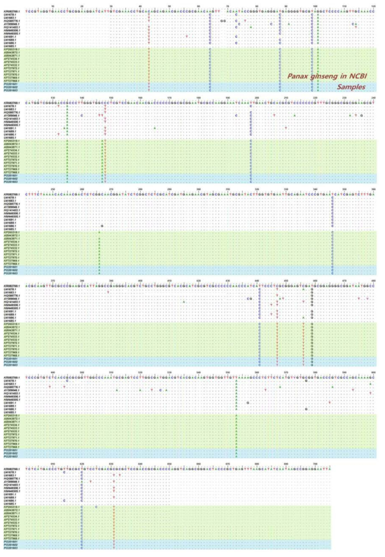 인삼 ITS (Internal transcribed spacer) 염기서열 비교 분석