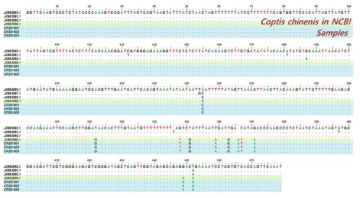 한약재 황련의 trnL-F intergenic spacer 염기서열 비교 분석