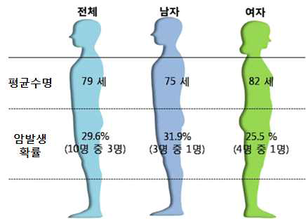 평균수명까지 생존시 암 발생확률 (통계청, 2005년)