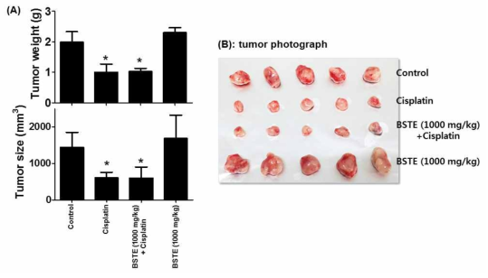 Effects of Banhasasim-tang extract (BSTE) on cisplatin-induced tumor shrinkage on TC-1 cell-inoculated xenograft model. Data are mean ± SD values (N=5). *, p<0.05 vs. control group