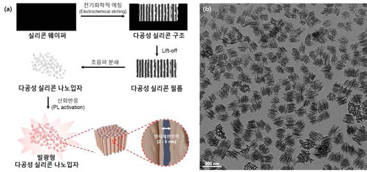 (a) 나노기공 구조를 가진 실리콘 나노프로브 제작과정 모식도. (b) 제작된 실리콘 나노프로브의 전자현미경(TEM) 사진