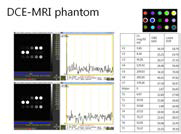 팬텀으로 DCE-MRI 시퀀스의 신호안정성 평가