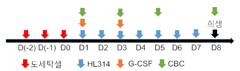 도세탁셀 유도 골수독성 실험모델에서 HL314 반복 투여에 따른 혈구지표 변화, G-CSF 비교 평가, 약물투여 및 실험 디자인 모식도