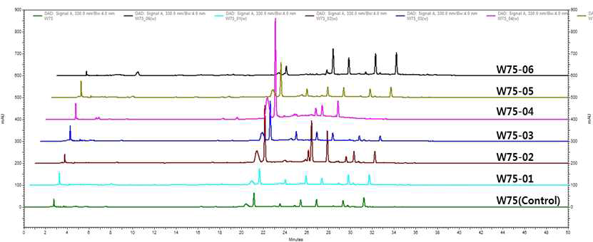 산지별 육종용 물 추출물의 크로마토그램