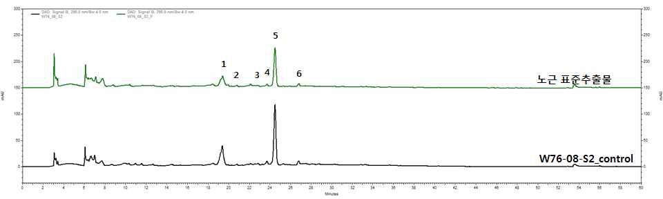 노근 표준추출물의 HPLC 크로마토그램