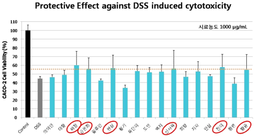 DSS 유발 대장염 세포모델에서 후보소재의 세포보호 효능 평가