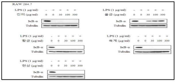 RAW264.7 세포에서 LPS로 유도한 IκB-α expression에 대한 후보소재의 효과