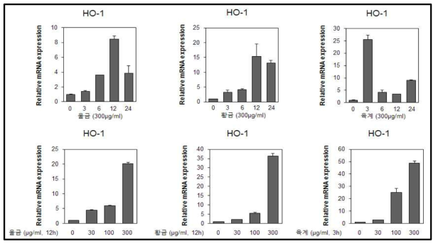 RAW264.7 세포에서 유도한 HO-1 mRNA에 대한 후보소재의 시간 및 농도별 효과