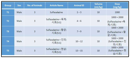 PK 실험을 위한 군 구성 및 투여용량