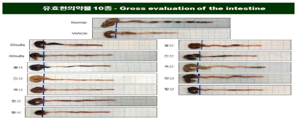 DSS로 유발된 궤양성 대장염에서 유효 한의약물 10종의 대장길이변화