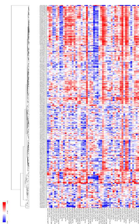 간암 조직 207례와 정상 간 조직 46례의 signaling pathway 비교 분석 blue : low expression, red : high expression